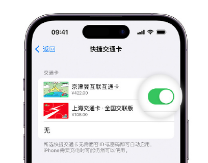 金台apple维修点分享iPhone上更换Apple Pay快捷交通卡手绘卡面 