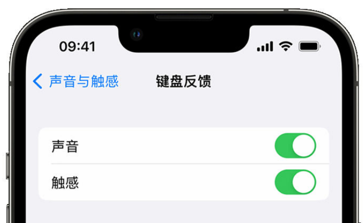 金台苹果手机维修分享iPhone 14触感键盘使用方法 