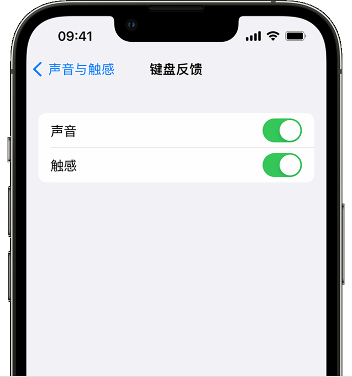 金台苹果14维修店分享如何在 iPhone 14 机型中使用触感键盘 