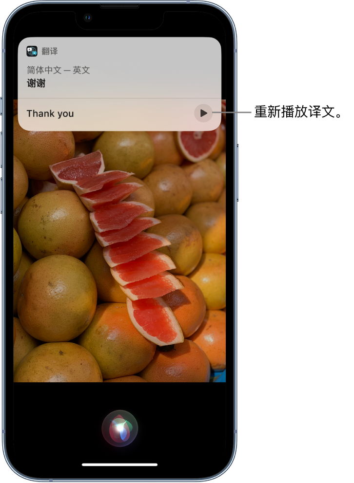 金台苹果14维修分享 iPhone 14 机型中使用 Siri：了解 Siri 能帮你做什么 