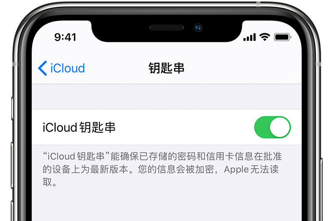 金台苹果手机维修分享在 iPhone 上开启 iCloud 钥匙串之后会储存哪些信息 