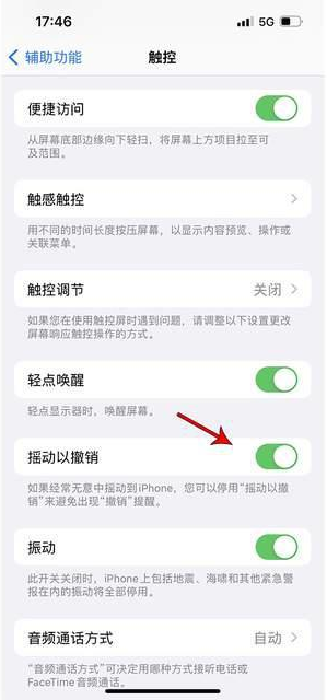 金台苹果手机维修分享iPhone手机如何设置摇一摇删除文字 